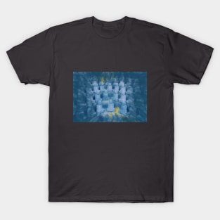 Small Buddhas, Photo Art T-Shirt